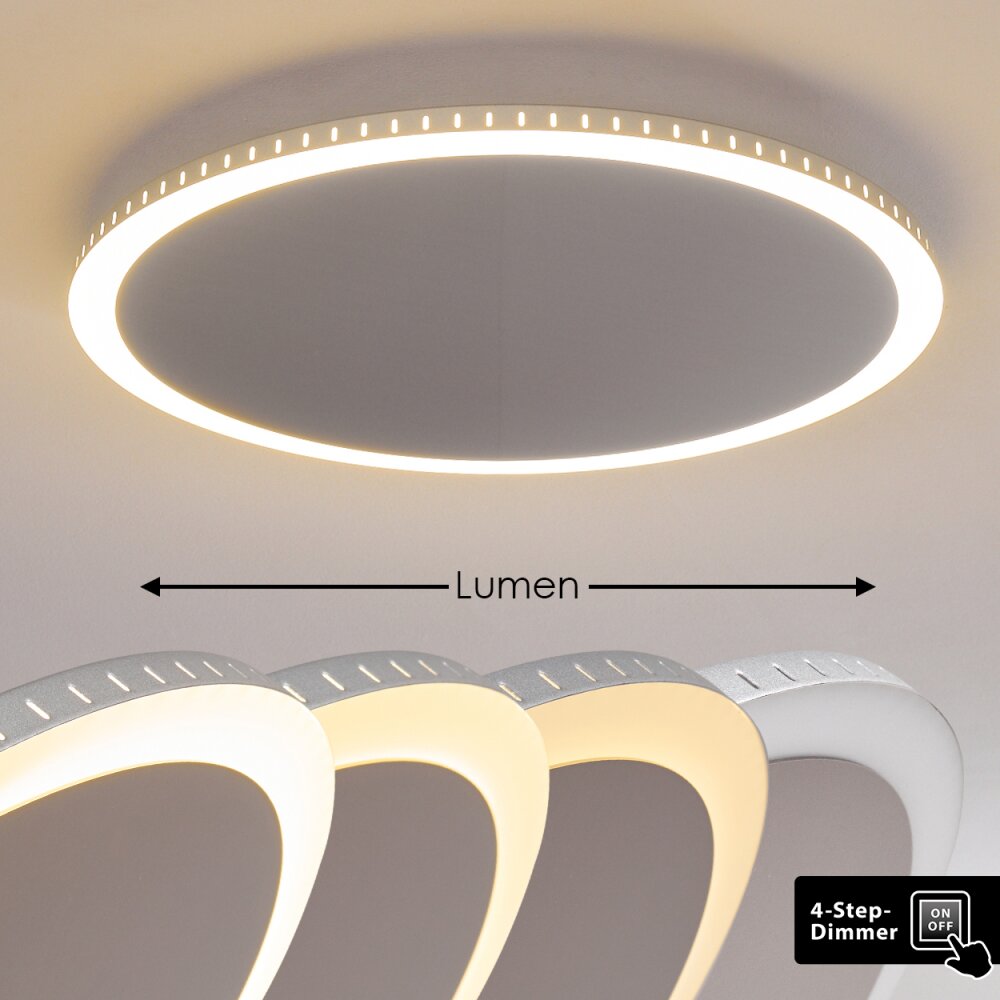 Aitrach Deckenleuchte LED Silber, Weiß, 1-flammig main product photo