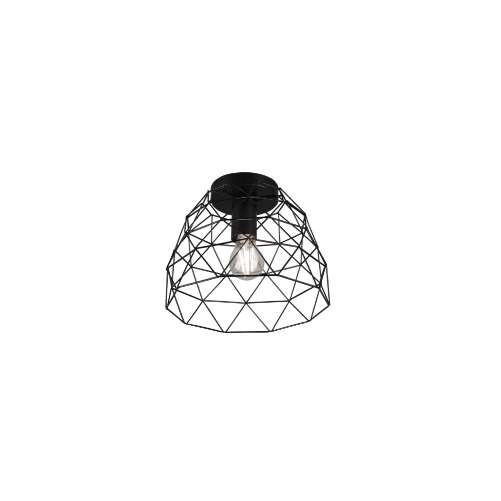 Reality Haval Deckenleuchte Schwarz, 1-flammig main product photo