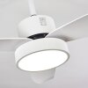 Doha Deckenventilator LED Weiß, 1-flammig, Fernbedienung