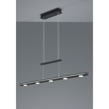 Trio Leuchten Lacal Pendelleuchte LED Nickel-Matt, 7-flammig