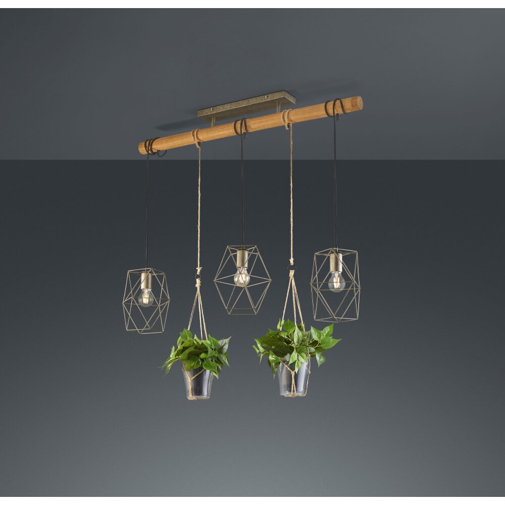 Trio Leuchten Plant Pendelleuchte LED Dunkelbraun, Nickel-Matt, 3-flammig main product photo