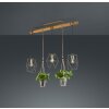 Trio Leuchten Plant Pendelleuchte LED Dunkelbraun, Nickel-Matt, 3-flammig