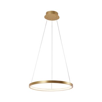 LED Pendelleuchte Leuchten Gold CIRCLE 11524-12 Direkt