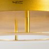 Springdale Deckenleuchte LED Gold, 1-flammig