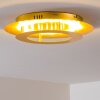 Springdale Deckenleuchte LED Gold, 1-flammig