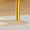Springdale Deckenleuchte LED Gold, 1-flammig