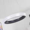 Mackay Deckenleuchte LED Anthrazit, Weiß, 1-flammig, Fernbedienung