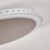 Aitrach Deckenleuchte LED Silber, 1-flammig