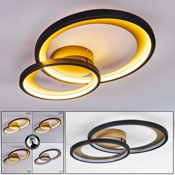 Baiyin Deckenleuchte LED Schwarz-Gold, 1-flammig