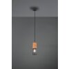 Trio Tosh Pendelleuchte LED Schwarz, 1-flammig