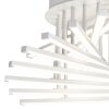 AEG Cyrus Deckenleuchte LED Weiß, 1-flammig