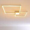 Narpes Deckenleuchte LED Nickel-Matt, 1-flammig