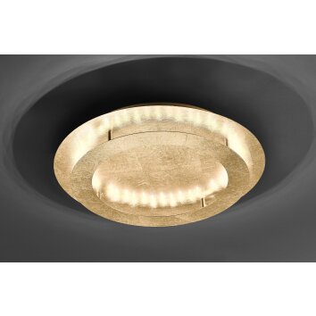 Paul Neuhaus NEVIS Deckenleuchte LED Gold, 4-flammig