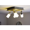 Trio Leuchten CLAPTON Deckenleuchte LED Aluminium, Chrom, Edelstahl, 4-flammig