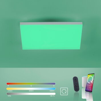 Paul Neuhaus Q-FRAMELESS LED Panel Weiß, 1-flammig, Fernbedienung, Farbwechsler