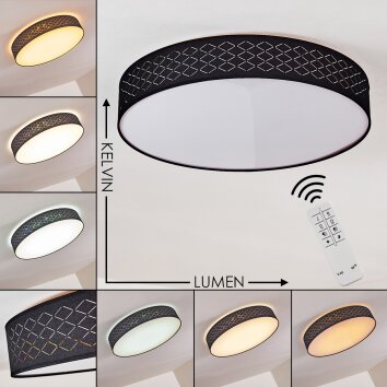 Temuka Deckenleuchte LED Schwarz, Weiß, 1-flammig, Fernbedienung