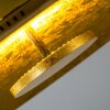 Nipissing Deckenleuchte LED Gold, 1-flammig