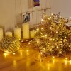 Sondrio Lichterkette LED, 100-flammig