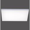 Paul Neuhaus Q-FRAMELESS LED Panel Weiß, 1-flammig, Fernbedienung, Farbwechsler