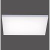 Paul Neuhaus Q-FRAMELESS LED Panel Weiß, 1-flammig, Fernbedienung, Farbwechsler