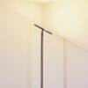 Wonsbek Deckenfluter LED Nickel-Matt, 1-flammig