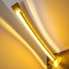 Petrolia Stehleuchte LED Gold, 1-flammig