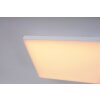 Paul Neuhaus Q-FRAMELESS LED Panel Weiß, 1-flammig, Fernbedienung, Farbwechsler