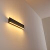 Obion Wandleuchte LED Schwarz, 2-flammig